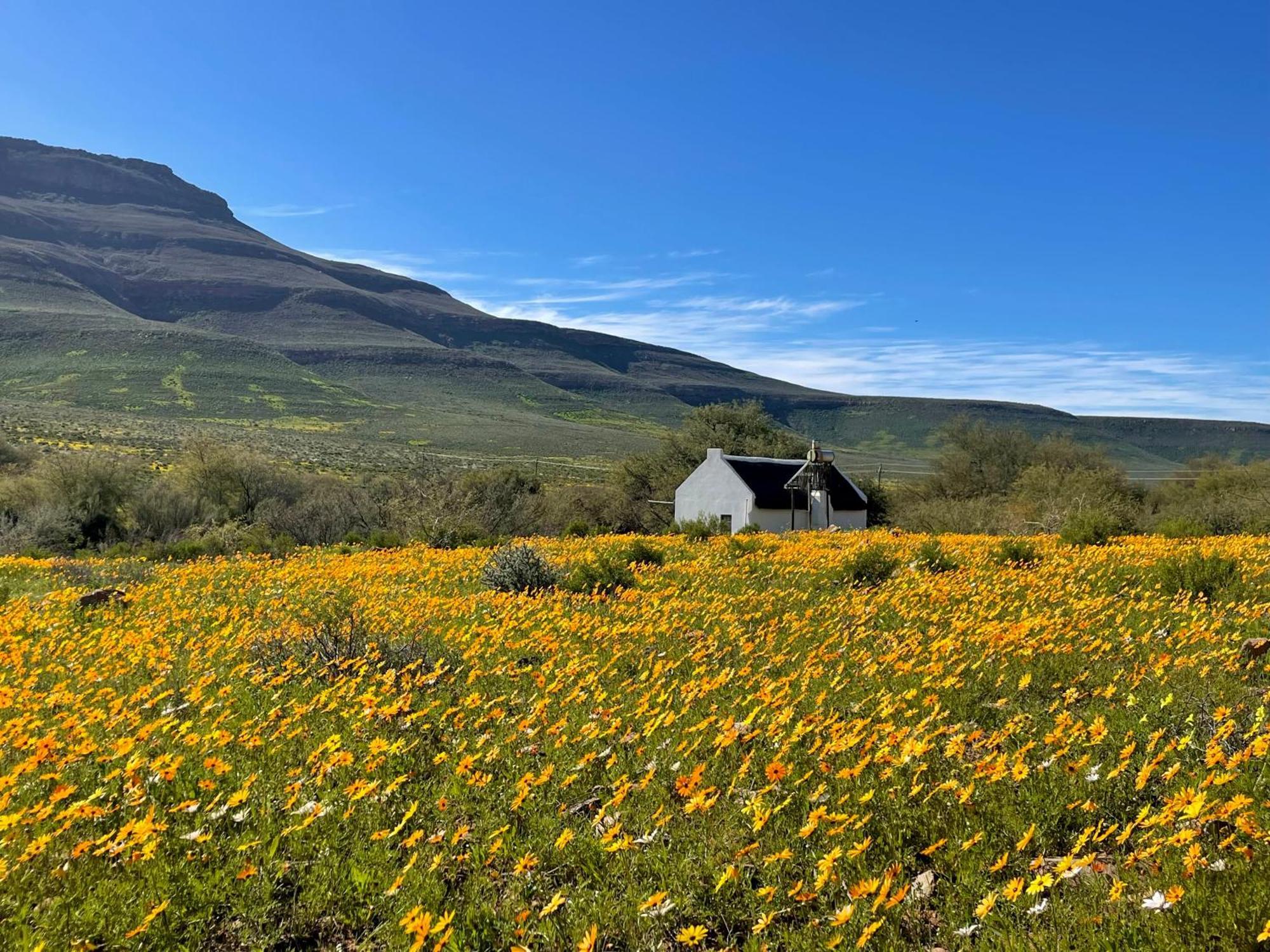 Enjo Nature Farm Clanwilliam Zewnętrze zdjęcie