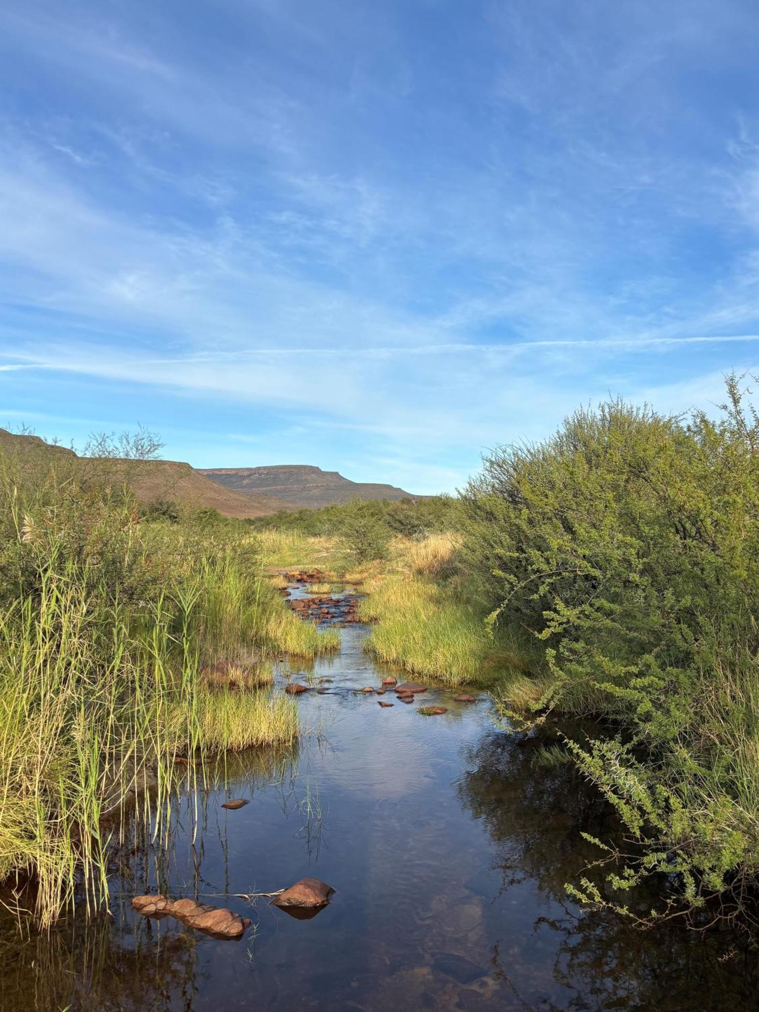 Enjo Nature Farm Clanwilliam Zewnętrze zdjęcie